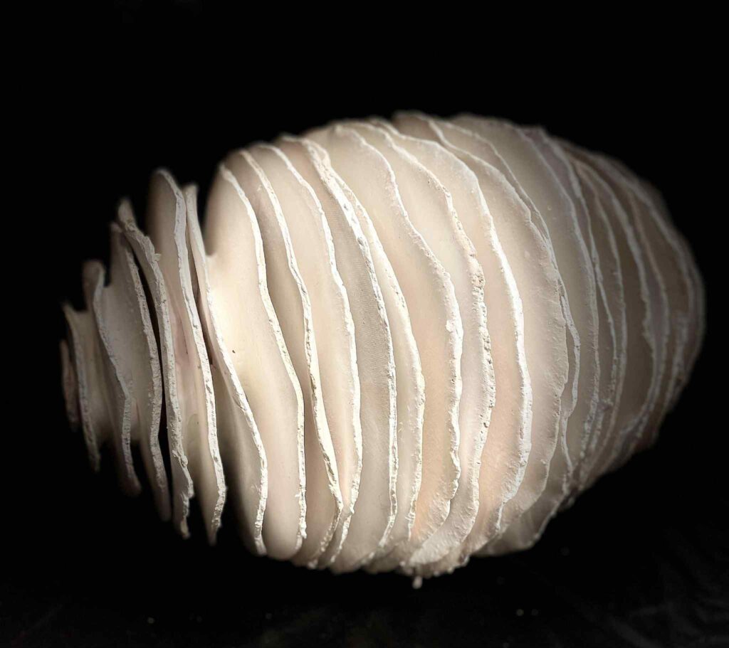 PHOTO-2026-03-31-10-54-32 2